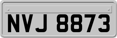 NVJ8873