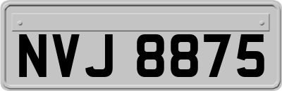 NVJ8875