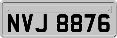 NVJ8876