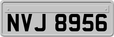 NVJ8956