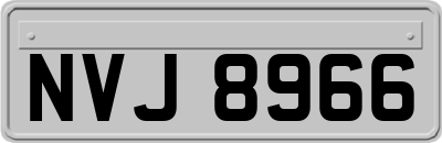 NVJ8966