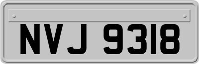 NVJ9318