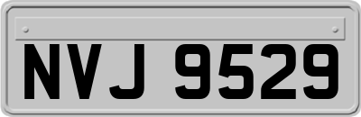 NVJ9529