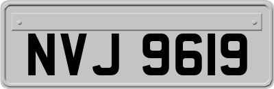 NVJ9619