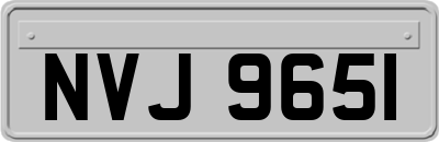 NVJ9651