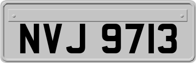 NVJ9713