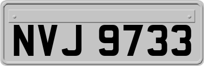 NVJ9733