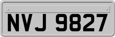 NVJ9827