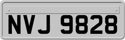 NVJ9828