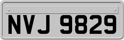 NVJ9829