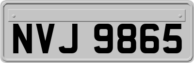NVJ9865