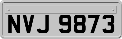 NVJ9873