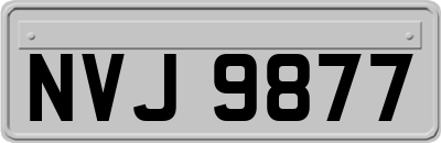 NVJ9877