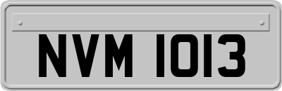 NVM1013