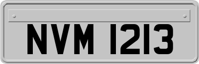 NVM1213