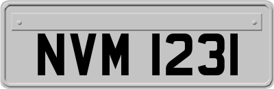 NVM1231