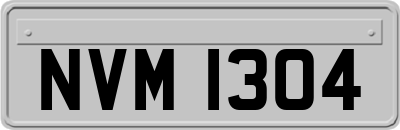 NVM1304