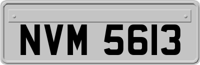 NVM5613