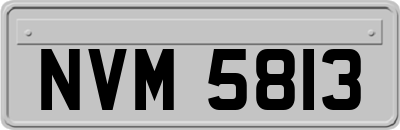NVM5813