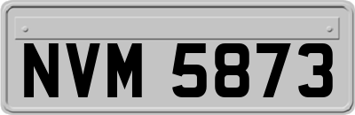 NVM5873