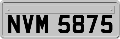 NVM5875