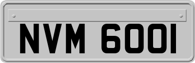 NVM6001