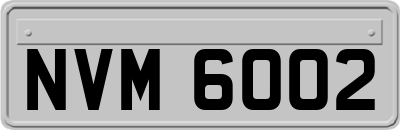 NVM6002