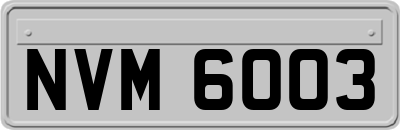 NVM6003