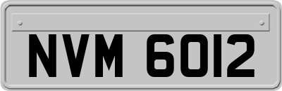 NVM6012