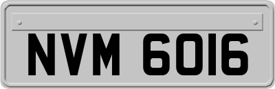 NVM6016