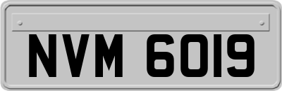 NVM6019