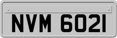 NVM6021