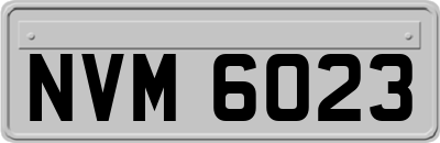 NVM6023