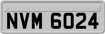 NVM6024