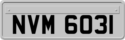 NVM6031
