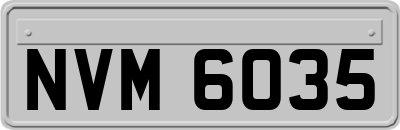 NVM6035