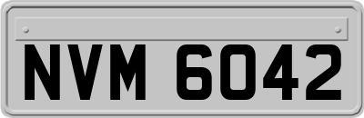 NVM6042