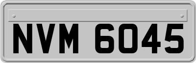 NVM6045
