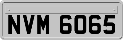 NVM6065