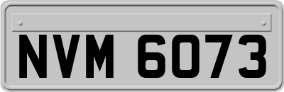 NVM6073