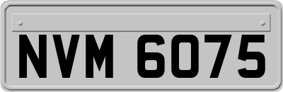 NVM6075