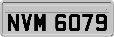 NVM6079