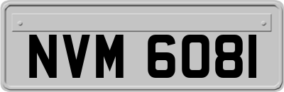 NVM6081