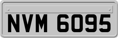 NVM6095