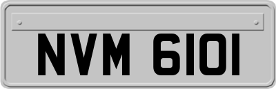 NVM6101