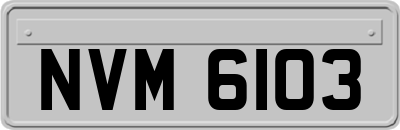 NVM6103
