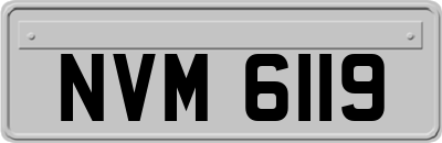 NVM6119