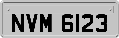 NVM6123