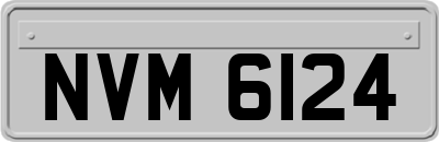 NVM6124