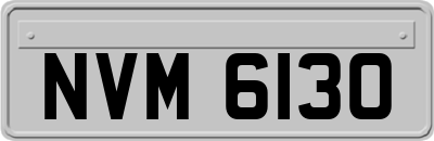 NVM6130